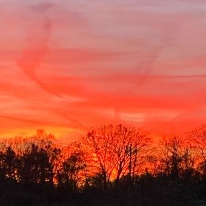 Meet your Posher, Suzanne